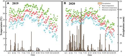 Blended controlled-release nitrogen fertilizer increases rice post-anthesis nitrogen accumulation, translocation and nitrogen-use efficiency